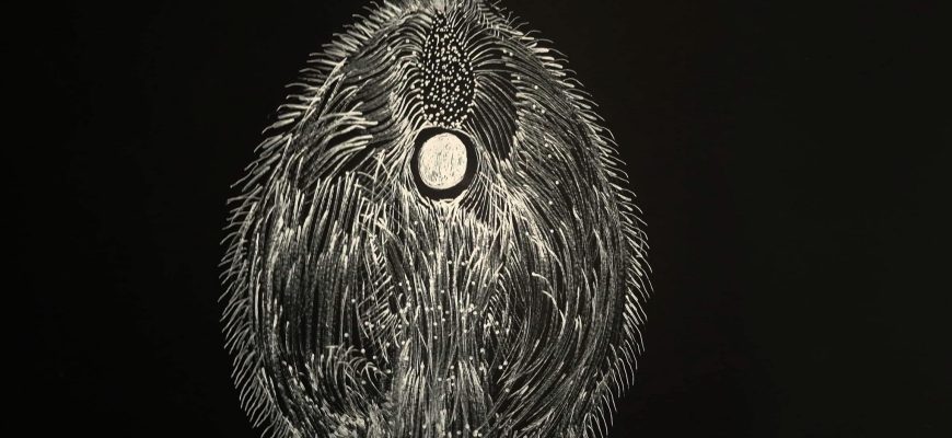 הדי יקום אישי   – התערוכה "יערה יפנית" של סיון כהן.